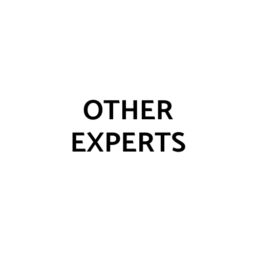 other_experts_logo_extended_network_uxfive_digital_marketing